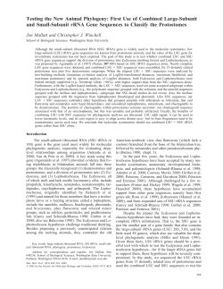 First Use of Combined Large-Subunit and Small