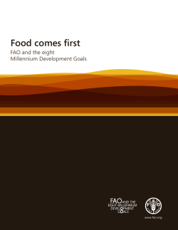 Booklet: Food comes first: FAO and the eight Millennium