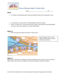 Honors Biology Chapter 5 Study Guide