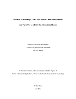 Isolation of Antifungal Lactic Acid Bacteria from Food Sources and