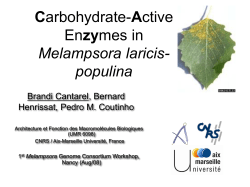 CAZy: Integrating Information on Carbohydrate