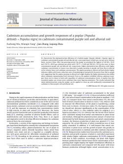 Cadmium accumulation and growth responses of a poplar (Populus