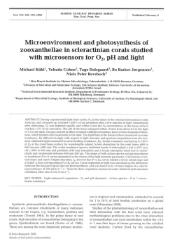 Microenvironment and photosynthesis of