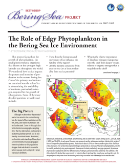 The Role of Edgy Phytoplankton in the Bering Sea Ice Environment