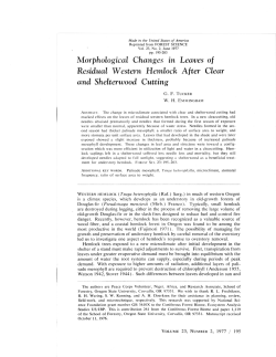 Morphological Changes in Leaves of Residual Western Hemlock
