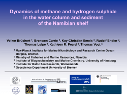 Dynamics of methane and hydrogen sulphide in the water column