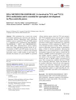 DNA METHYLTRANSFERASE 1 is involved inmCG andmCCG DNA