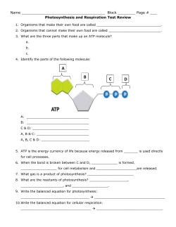 Name Block ______ Page # ___ Photosynthesis and Respiration