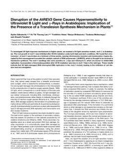 Disruption of the AtREV3 Gene Causes Hypersensitivity
