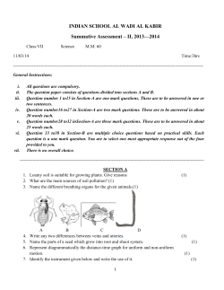 Sample QP of SAII - Indian School Al Wadi Al Kabir