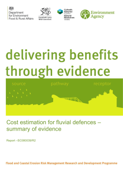 Cost estimation for fluvial defences