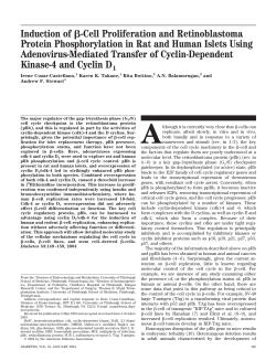 Induction of -Cell Proliferation and Retinoblastoma Protein