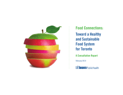 Food Connections Report