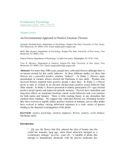 An Environment Approach to Positive Emotion