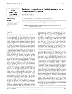 Bacterial respiration