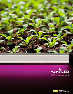 LED HORTICULTURE LIGHT