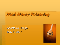 Honey Intoxication - UNM Biology Department
