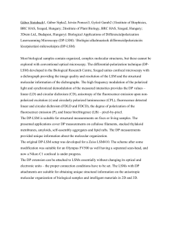 G&aacute;bor Steinbach1, G&aacute;bor Sipka2, Istv&aacute;n Pomozi3, Győző Garab2