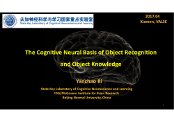 The Cognitive Neural Basis of Object Recognition and Object