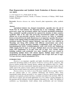 Plant Regeneration and Synthetic Seeds Production of