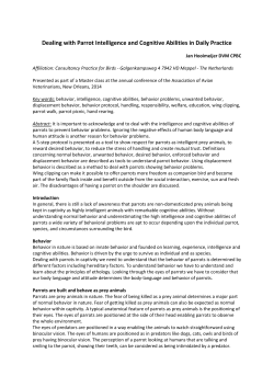 Dealing with Parrot Intelligence and Cognitive Abilities in Daily