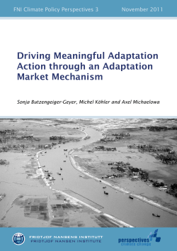 Driving Meaningful Adaptation Action through an Adaptation Market