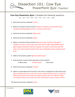 Cow Eye Dissection Quiz