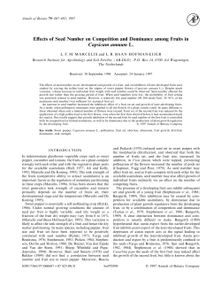 Effects of Seed Number on Competition and Dominance among
