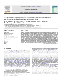 Small-scale patterns of deep-sea fish distributions and assemblages