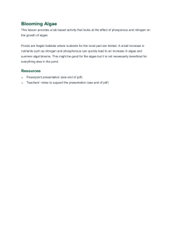 Blooming Algae - British Ecological Society