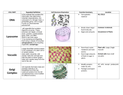 Cell Structure and Function Plus