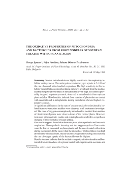 the oxidative properties of mitochondria and bacteroids from root