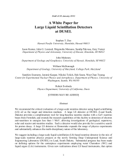 A White Paper for Large Liquid Scintillation Detectors at DUSEL