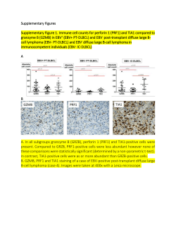 Supplementary Figures and Tables (docx 10330K)