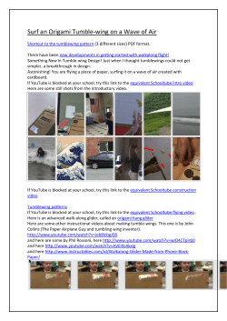 Surf an Origami Tumble-wing