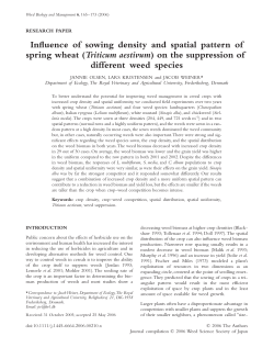 Influence of sowing density and spatial pattern of