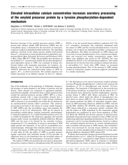 Elevated intracellular calcium concentration increases secretory