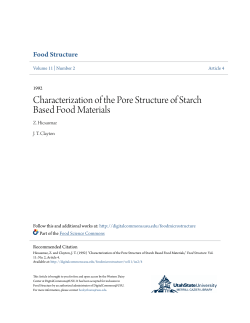 Characterization of the Pore Structure of Starch Based Food Materials