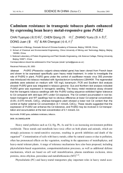 Cadmium resistance in transgenic tobacco plants enhanced by