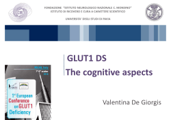 GLUT1 DS The cognitive aspects