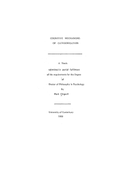 Cognitive mechanisms of categorisation