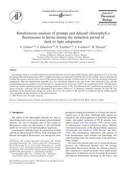 Simultaneous analysis of prompt and delayed chlorophyll a
