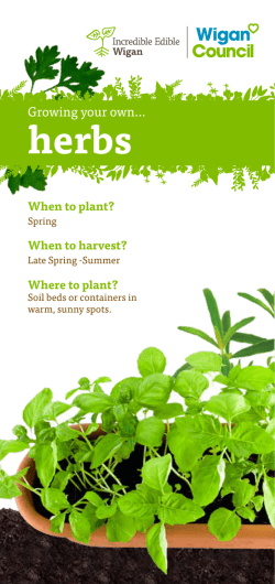 Grow your own herbs