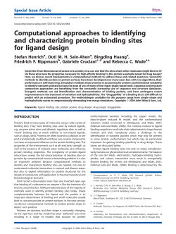 Computational approaches to identifying and characterizing protein