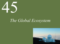 The Global Ecosystem