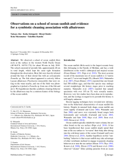 Observations on a school of ocean sunWsh and