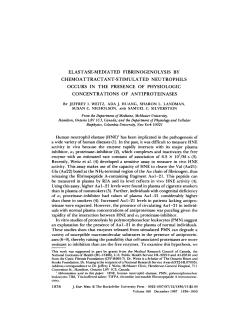 elastase-mediated fibrinogenolysis by