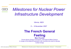 Nuclear energy in competitive markets