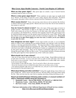 Facts about Cyanobacteria (Blue-green Algae)