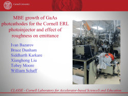 Cornell LEPP Template